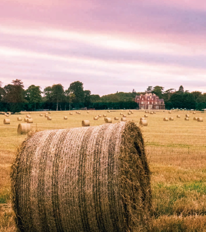 Autumn 2019